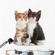 Two Kitten Sitting Wall Decal