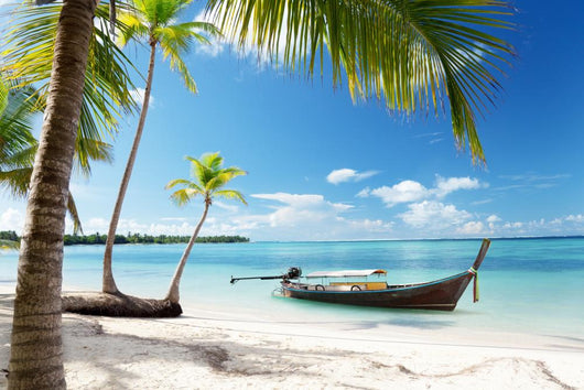 Sea and Boat