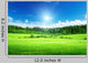 Field Grass and Perfect