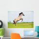 Rear Free Horse Field Wall Mural