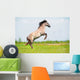 Rear Free Horse Field Wall Mural