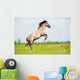 Rear Free Horse Field Wall Mural