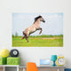 Rear Free Horse Field Wall Mural