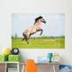 Rear Free Horse Field Wall Mural