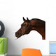 Purebred Arabian Horse Isolated Wall Decal
