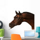 Purebred Arabian Horse Isolated Wall Decal
