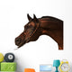 Purebred Arabian Horse Isolated Wall Decal