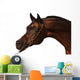 Purebred Arabian Horse Isolated Wall Decal