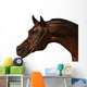 Purebred Arabian Horse Isolated Wall Decal