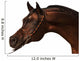 Purebred Arabian Horse Isolated Wall Decal