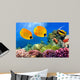 Masked Butterfly Fish