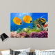 Masked Butterfly Fish