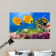 Masked Butterfly Fish