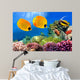 Masked Butterfly Fish