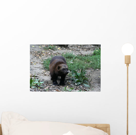 Vielfra Wall Mural