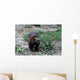 Vielfra Wall Mural