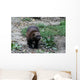 Vielfra Wall Mural