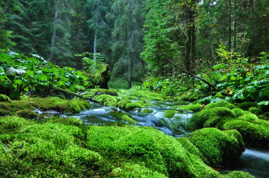 Land Green