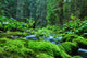 Land Green