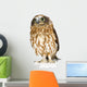 Posing New Zealand Owl Wall Decal