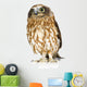 Posing New Zealand Owl Wall Decal