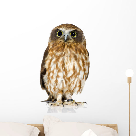 New Zealand owl Wall Decal