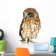 New Zealand Owl Turning Right Wall Decal