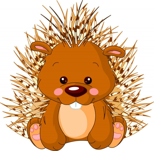 Fun zoo. Porcupine Wall Decal