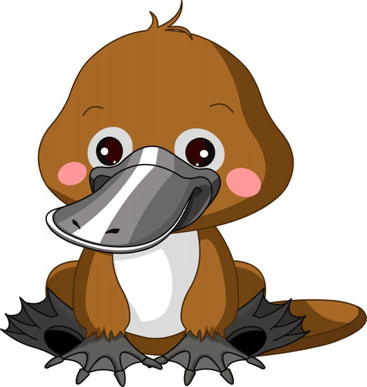 Fun zoo. Platypus Wall Decal