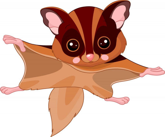 Fun zoo. Flying squirrel Wall Decal