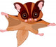 Fun zoo. Flying squirrel Wall Decal