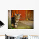 Wall Mural