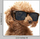 Red Toy Poodle  in the sunglass Wall Decal