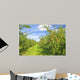 Apple Orchard Wall Mural