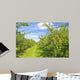 Apple Orchard Wall Mural