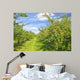 Apple Orchard Wall Mural