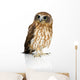 Wide-Eyed New Zealand Owl Wall Decal