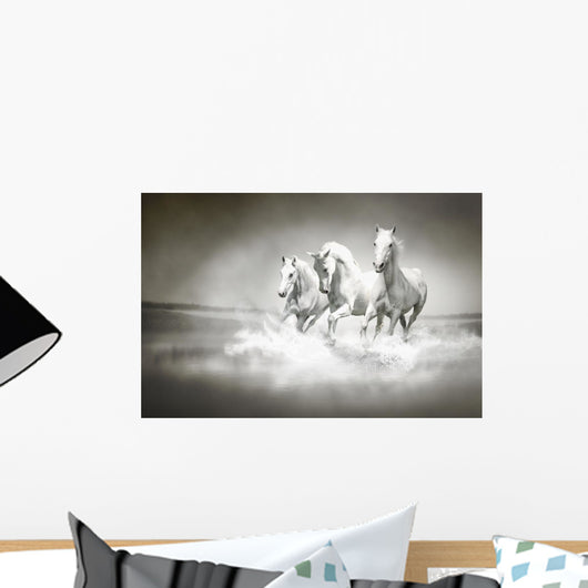 Herd White Horses Running