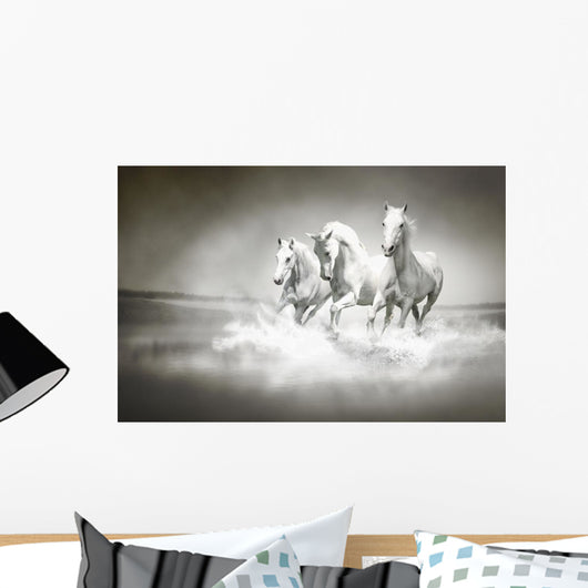 Herd White Horses Running