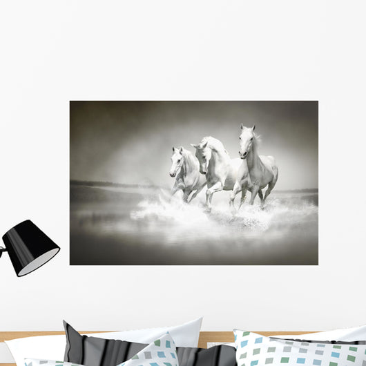 Herd White Horses Running
