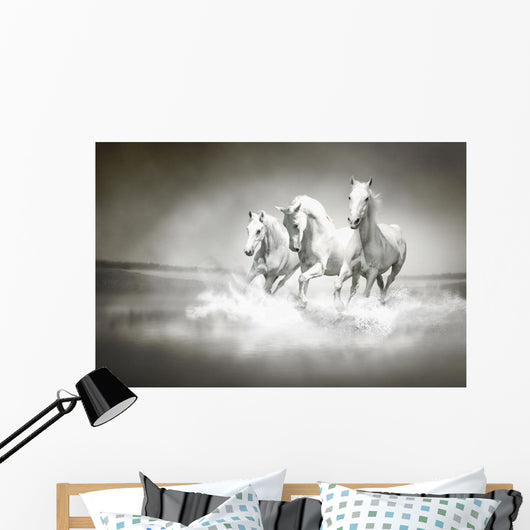 Herd White Horses Running