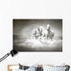 Herd White Horses Running