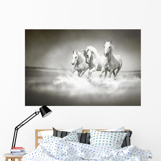 Herd White Horses Running
