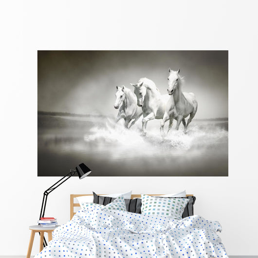 Herd White Horses Running