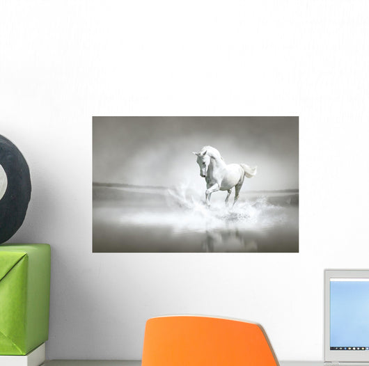 White horse running through water Wall Mural