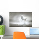 White horse running through water Wall Mural