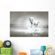 White horse running through water Wall Mural