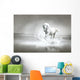 White horse running through water Wall Mural