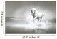 White horse running through water Wall Mural