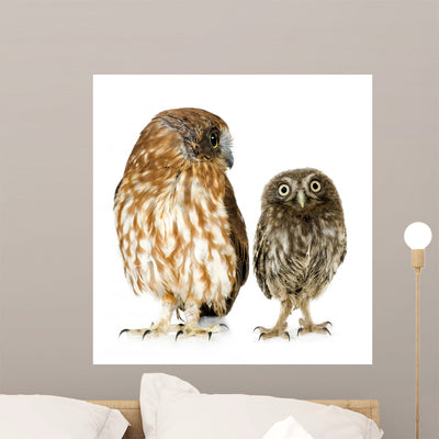 Female Owl and Owlet Wall Decal shown on a wall